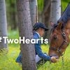 #TwoHearts: новое видео ФЕИ для популяризации конного спорта
