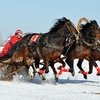 Алтайский край – Другая планета коневодства
