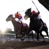 Beholder выиграла скачку Breeders Cup Longines Distaff.