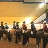 Шоу-чемпионат мира лошадей аппалуза