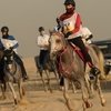 На соревнованиях по пробегам в ОАЭ погибло 6 лошадей