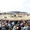 В немецком Хагене стартовал фестиваль Horses & Dreams.