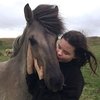 Исландскому фермеру запретили назвать лошадь неисландским именем.