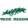 В Калгари начался пятизвездочный турнир Spruce Meadows Masters 2017.