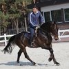 Александр Онищенко продолжает вкладывать деньги в лошадей.