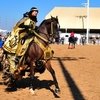 Шоу Арабских лошадей в Скоттсдейле