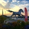 Россияне едут на Чемпионат мира по дистанционным пробегам для молодых лошадей в Шаморине