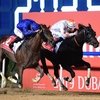 Dubai World Cup выиграл Tандер Сноу