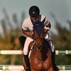 Владимир Туганов поднялся в рейтинге FEI Longines по конкуру