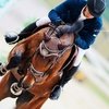 Международные соревнования по конкуру CSI2*/CSIYH1* в кСК "Ивановское"!