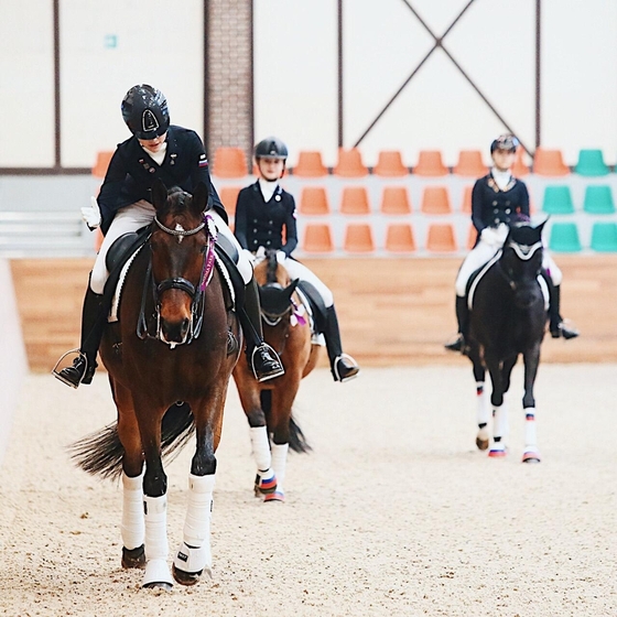 Международные соревнования CDI3*/2*Y/J/CH в Maxima Stables: Итоги второго дня 