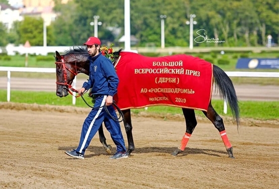  Большой Всероссийский приз Дерби на ЦМИ 