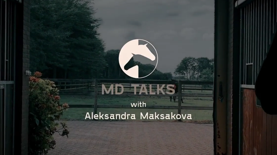 MD Horses: Новый проект Дианы Аль-Шаер и Марии Мироновой