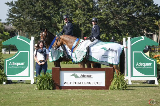 Два победителя на Challenge Cup VI в Веллингтоне 