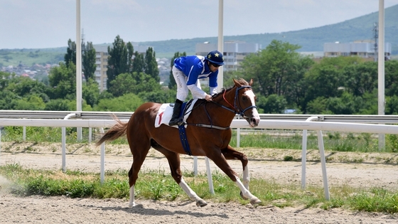  Большой Летний приз