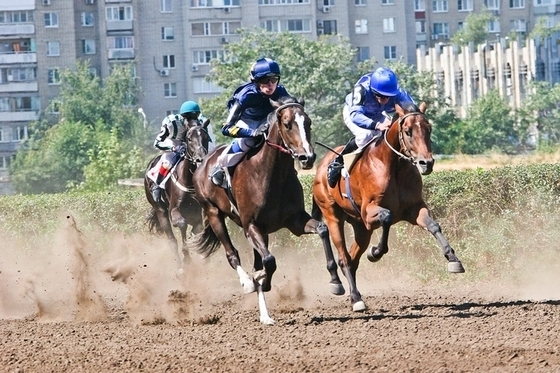 Закрытие скакового сезона на Ростовском ипподроме