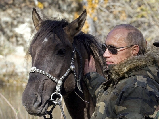 Когда ваш президент - конник