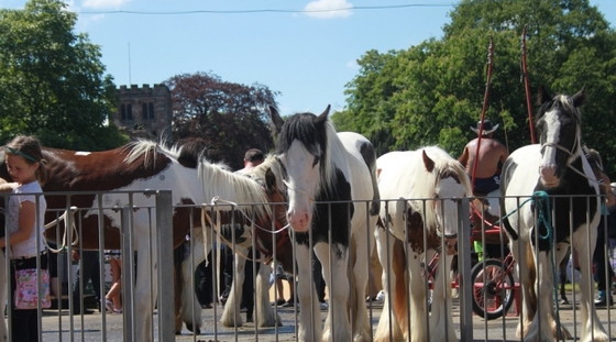 Appleby Horse Fair 