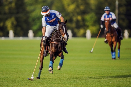 В «Московском Поло Клубе» состоялся турнир Federation Cup 