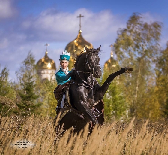 Сезон конных псовых охот открыли в Подмосковье