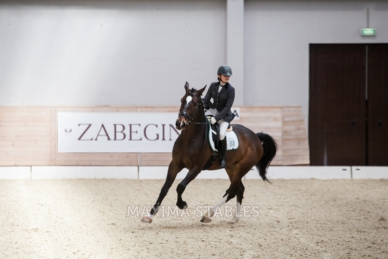 Осенний турнир по выездке на призы бренда ZABEGINA в Maxima Stables