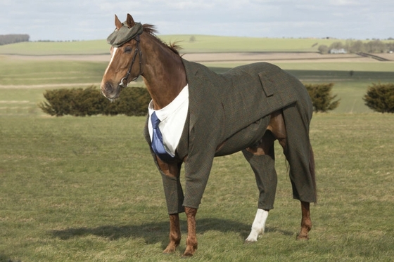 В Великобритании сшили первый в мире твидовый костюм для коня