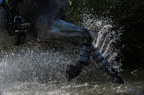 Трёхкратный победитель турнира CCI4*в Бёрли Эйвбери был усыплён