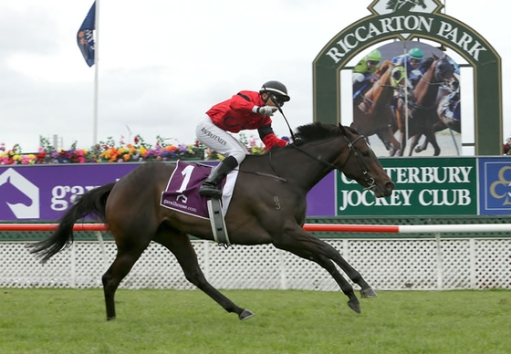 La Diosa стала победительницей скачки New Zealand 1000 Guineas.