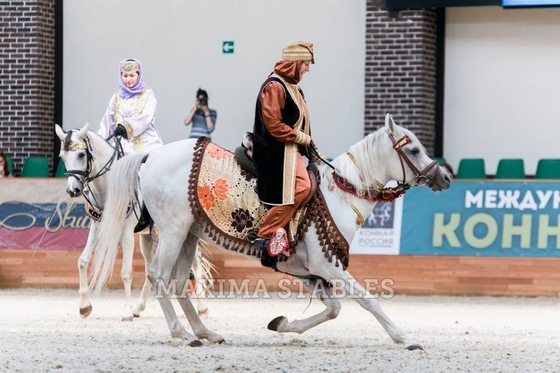 В Maxima Stables прошла "Конная Россия"