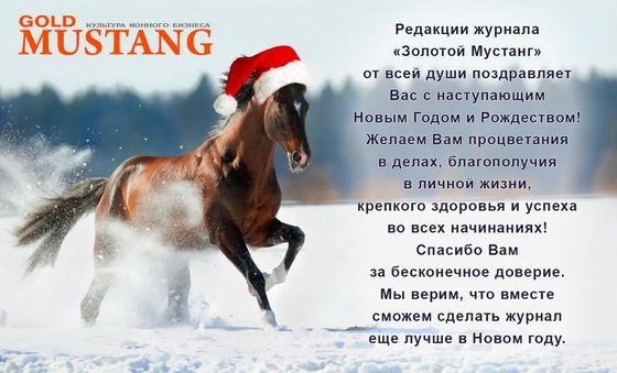 С наступающим Новым Годом!