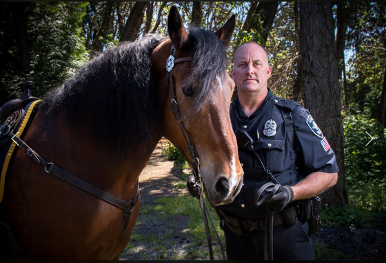 Что делать полицейской лошади на пенсии?
