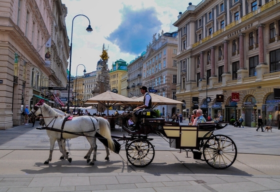 Лошадей в Вене переобуют в пластиковые подковы