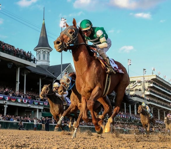 Зритель Breeder's Cup украл коня и попытался принять участие в скачке