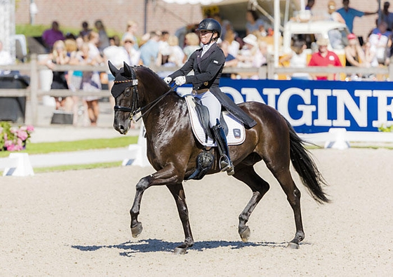 Новая лошадь Джессики фон Бредоу-Верндл