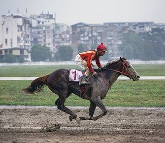 Чемпионат России по скачкам