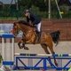 IV этап Кубка клуба Maxima Stables по конкуру