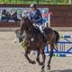 IV этап Кубка клуба Maxima Stables по конкуру