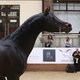  / Фотограф: Екатерина Михайлова/РОСПЛЕМКОНЗАВОД