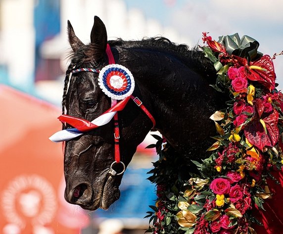 Победила липецкая «Дружба»
