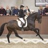 Анна Каспржак вернет лошадь Хельгстранду