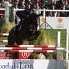 У сборной Бельгии по конкуру новый шеф-экип 