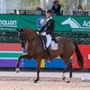 Гюнтер Зайдель одержал победу Кюре CDI4*