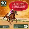 Аукцион чистокровных лошадей!