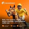 Добро пожаловать в мир HorseSmart