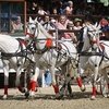 На МКЗ №1 пройдёт юбилейный V Чемпионат русских троек «Крылатое сердце России»