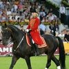 Урсула фон дер Ляйен предпочла форум Horse&Rider встрече с прессой