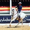 Чемпионат мира по Working Equitation