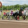 Гордость отечественного коневодства: в Раменском стартует отбор на Призы для орловцев