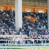 Казань – эпицентр конной жизни