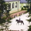 Zetta Sport: искусство быть идеальным